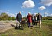 Five people from UW/H are standing in the field with a wheelbarrow and plants in their hands.