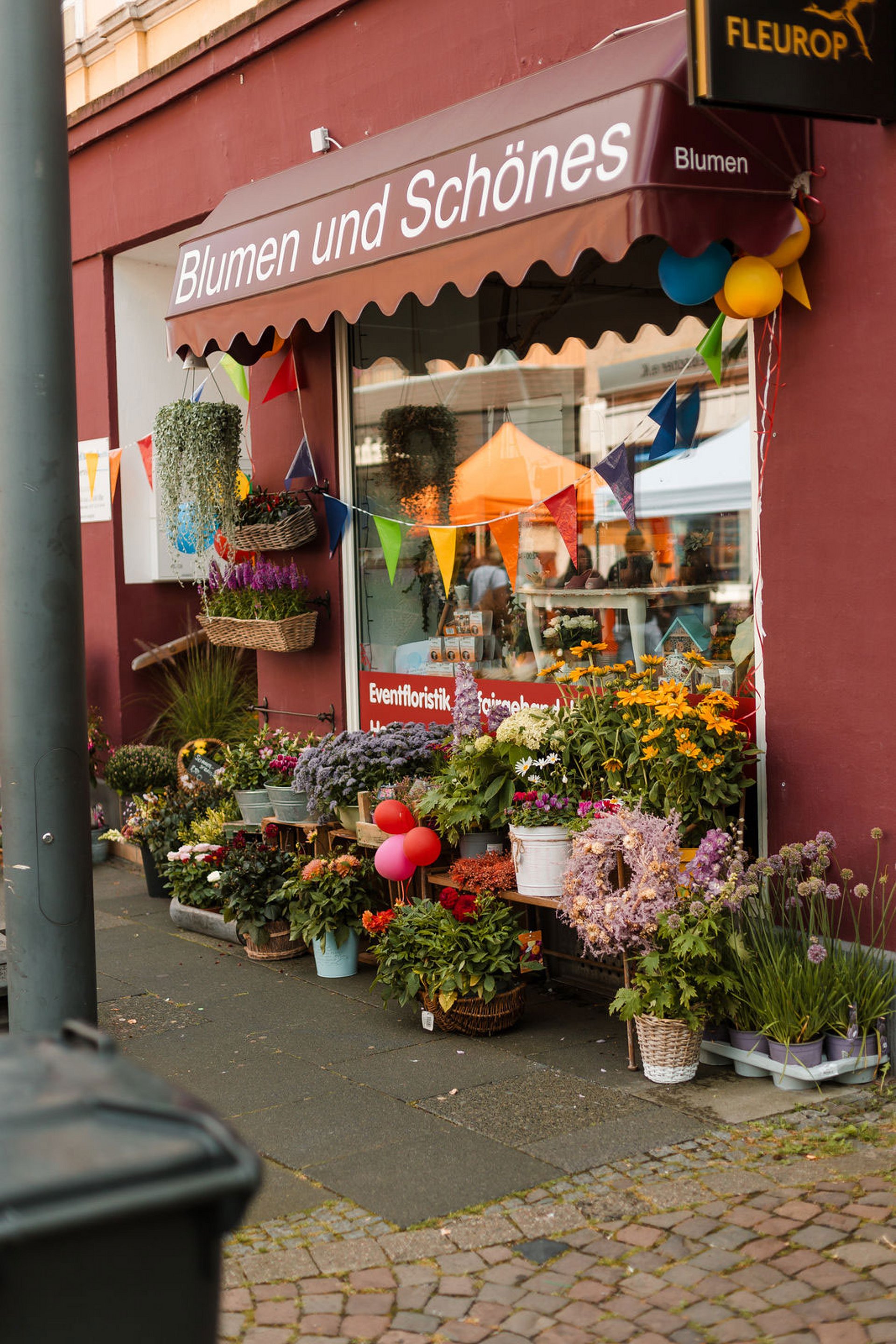 Foto von der Außenfassade eines Blumengeschäfts. Vor dem Laden stehen zahlreiche Blumentöpfe.