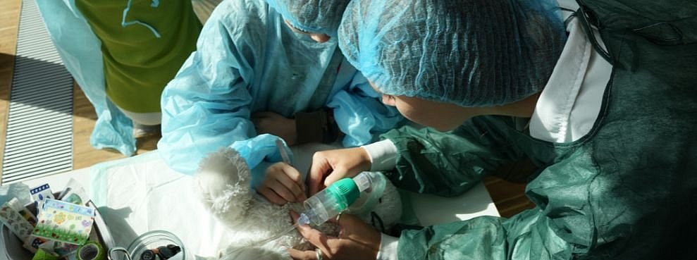 Teddy is lying on an operating table and is being ventilated with a mask by a boy and a student.