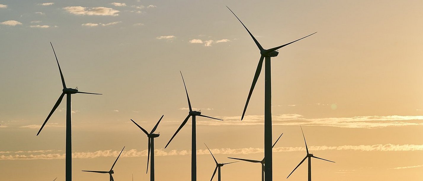 Evening shot of wind turbines