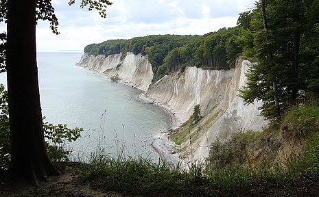 Aufnahme einer felsigen Klippe, die mit Bäumen bewachsen ist, fotografiert aus einem Wald heraus.