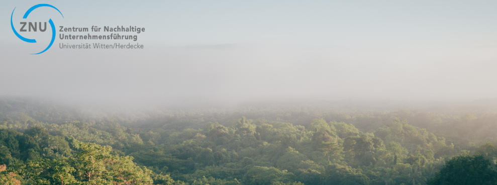 Ein von oben fotografierter, nebelbehangener Wald.