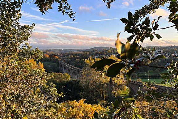 Im Vordergrund sind Blätter und Zweige eines Baumes, im Hintergrund liegt das Ruhrtal mit einem steinernen Viadukt.