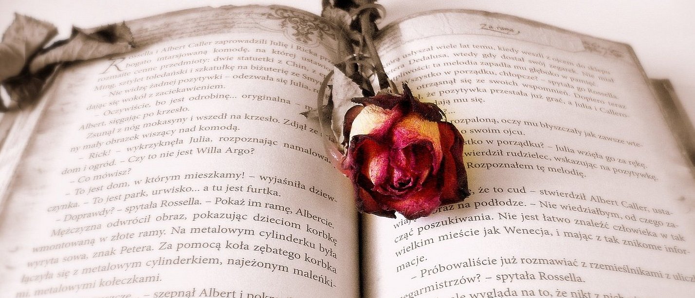 A rose lies between the pages of an open book.