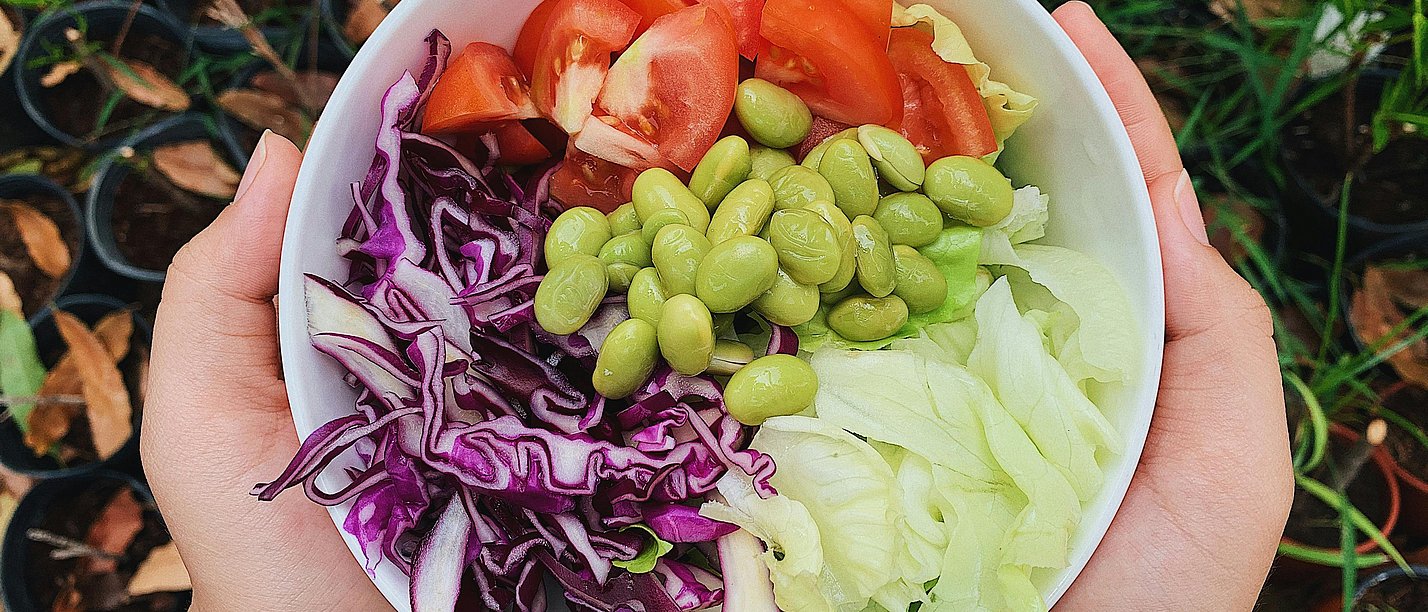 Two hands hold a bowl of chopped cabbage and vegetables.