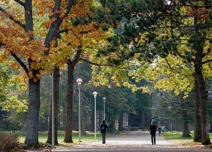 Das Gelände der University of Victoria/Kanada.