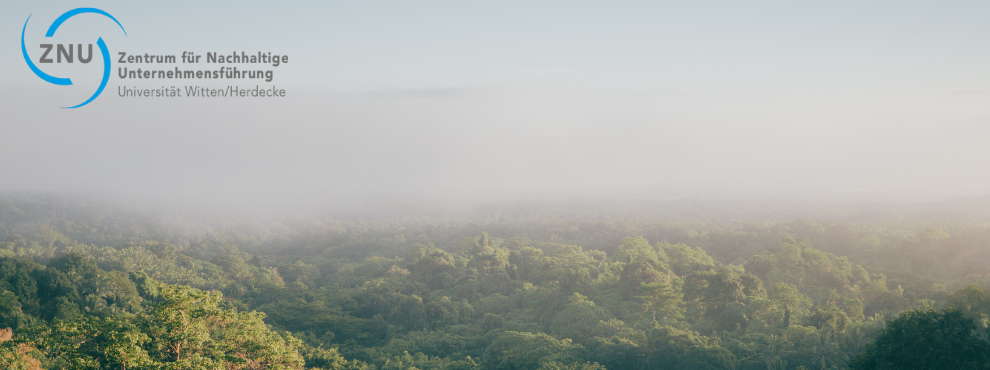 A misty forest photographed from above.